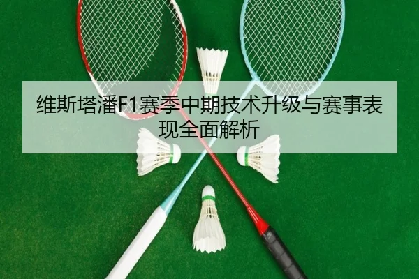 维斯塔潘F1赛季中期技术升级与赛事表现全面解析